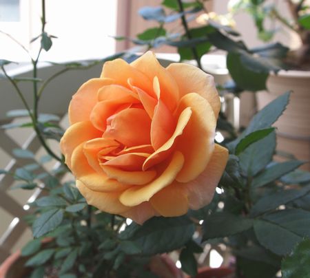 20110522_17.jpg