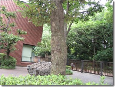 東京都美術館