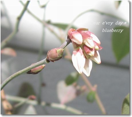 2009年 2月