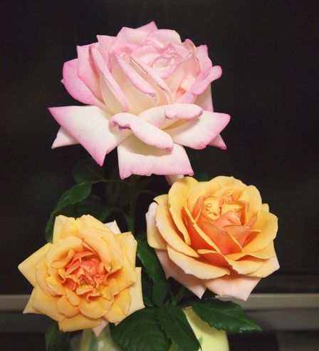 20110522_95.jpg
