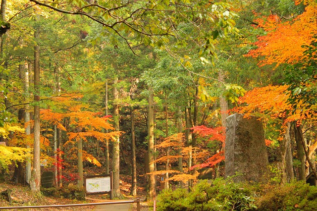 寂地峡 滝と紅葉 お城めぐり 楽天ブログ