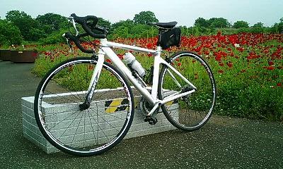 花と愛機に幸あれ