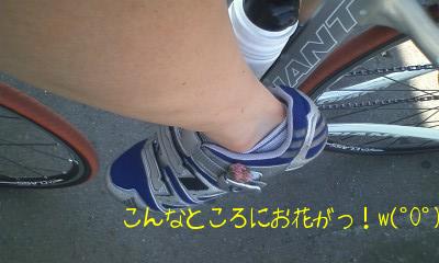 2010-07-24 21:34:25