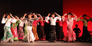 ガロティンに使うコルドべスのサイズ選び 踊ってみよう!フラメンコ 楽天ブログ