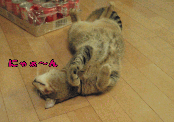 24a.gif