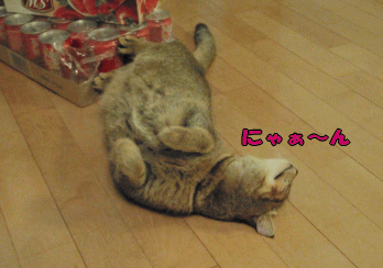 24b.gif