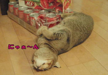 24c.gif