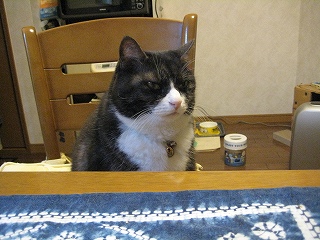じる