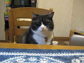 じる