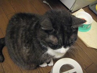 じる