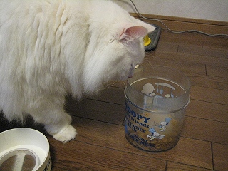 ぺる
