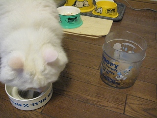 ぺる