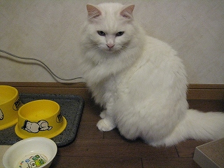 ぺる