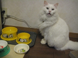 ぺる