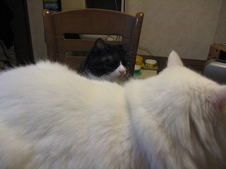 じる&ぺる