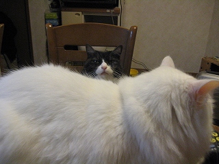 じる&ぺる