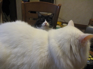 じる&ぺる