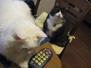じる&ぺる