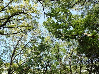 CA3F0452.JPG