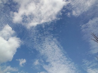 CA3F0624.JPG