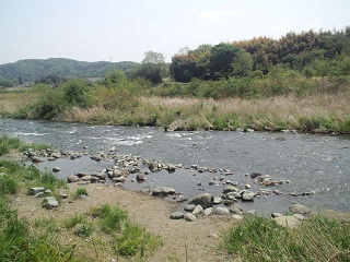 CA3F0471.JPG