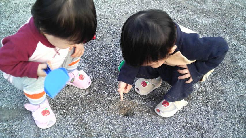 みーちゃん＆たーくんツィンクル日記