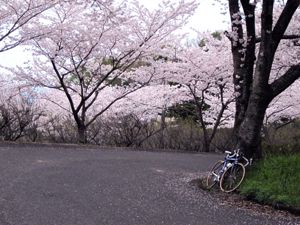 20110403nakaoyama