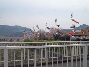 20110403minamatagawa