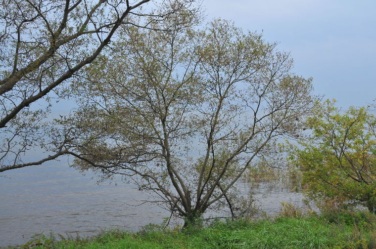pict0014.jpg