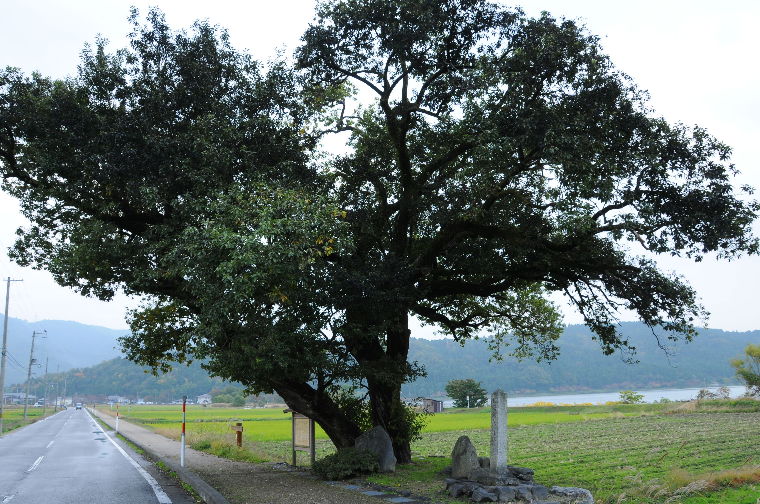 pict0015.jpg