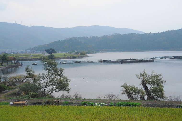 pict0018.jpg