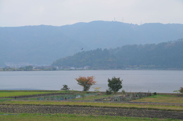 pict0019.jpg