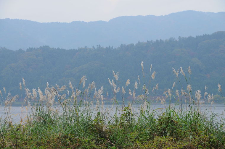 pict0020.jpg
