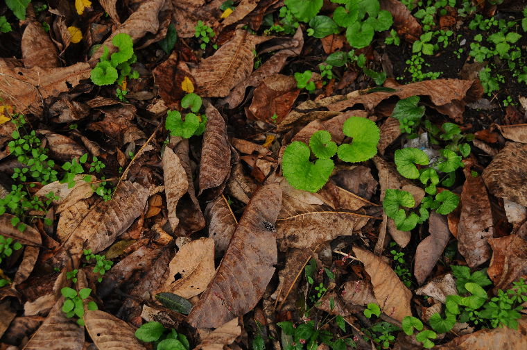 pict0022.jpg