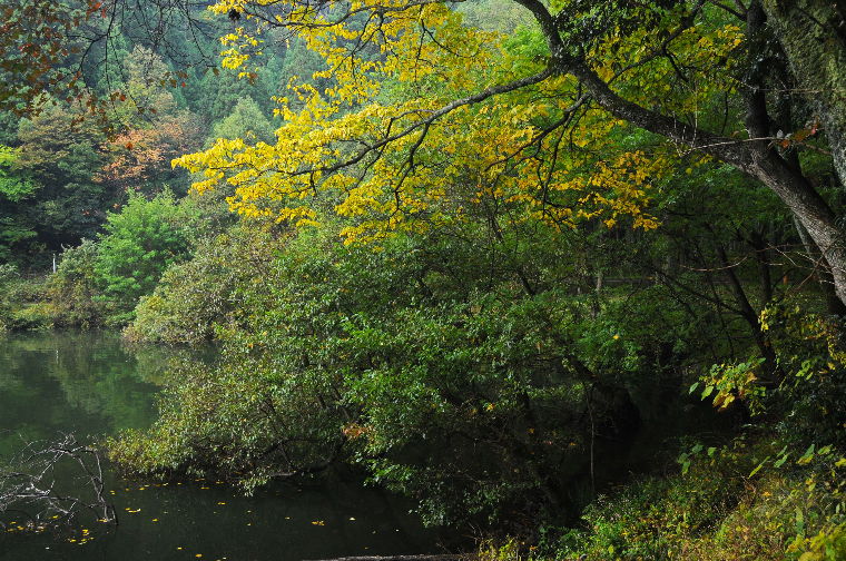 pict0024.jpg