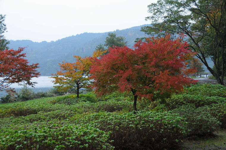 pict0027.jpg