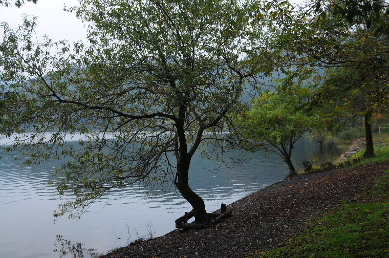 pict0028.jpg