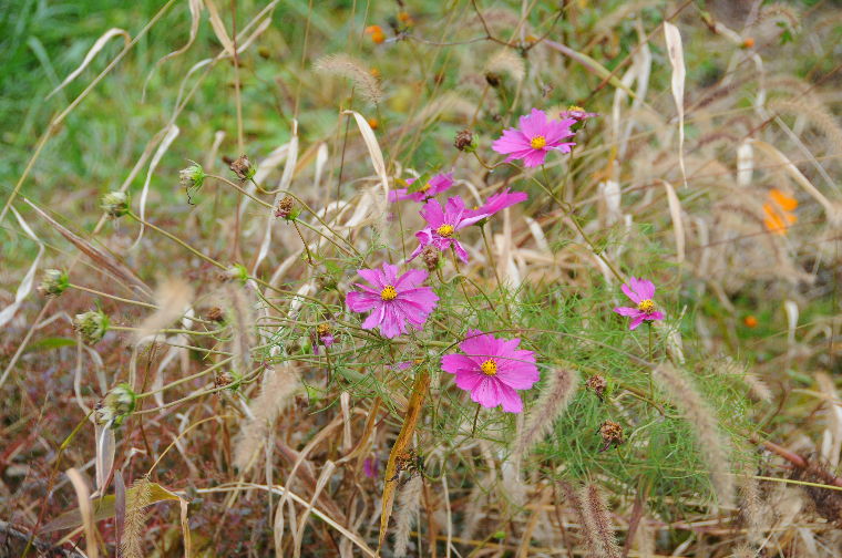 pict0029.jpg