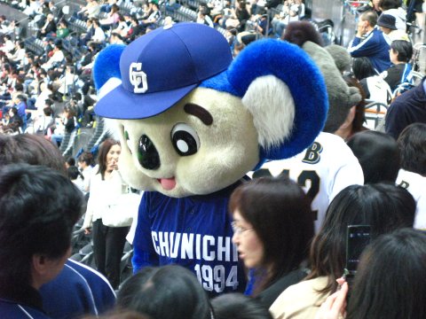 20080523-1.jpg