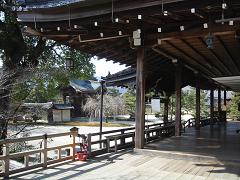 大奥のロケもあった大覚寺へ行きました ｔekinosukeの映画 たわごと日記 楽天ブログ