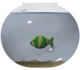 Fishbowl_4.gif