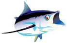 albacoredf5.gif