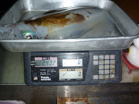 11.2.7-2430g.jpg
