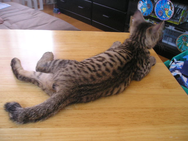 0807261.JPG