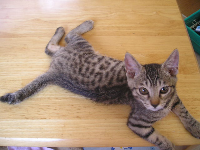 0807262.JPG