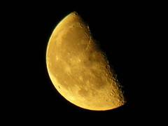 moon.jpg