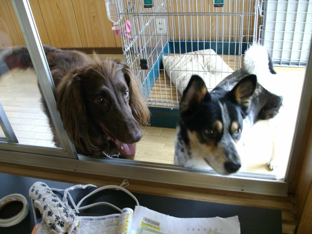 IMGP0630.JPG