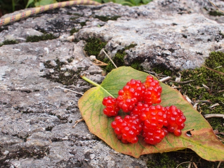 20100915_037.jpg