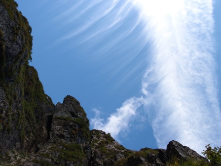 2010926-4.jpg