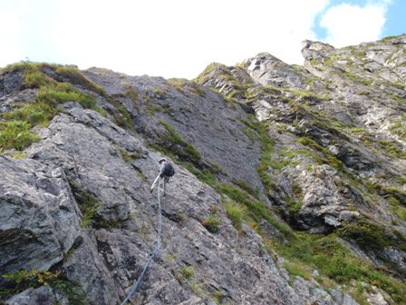 2010926-5.jpg